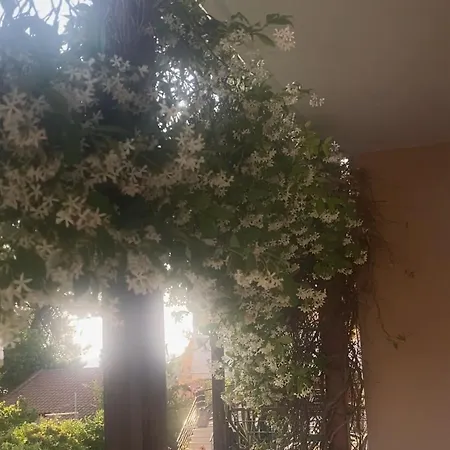 アパート Hamola Calumba *