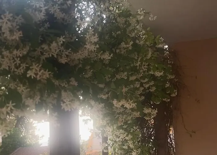 Apartamento Hamola Calumba *